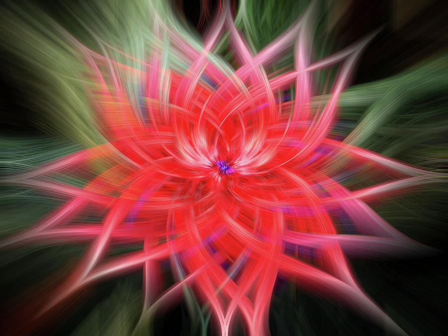Abstract Photograph - Floral Energy by Jean Noren