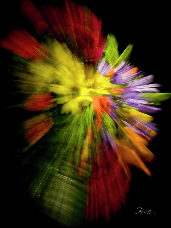 Floral Explosion Photograph by Frederic A Reinecke