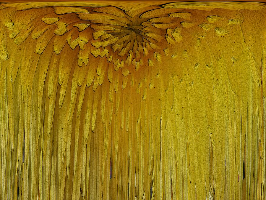 Tim Allen Digital Art - Floral Falls 5 by Tim Allen