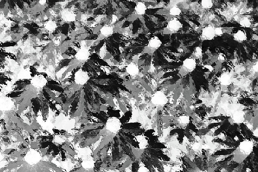 Floral Fantasy Black and White Photograph by Mary Bedy