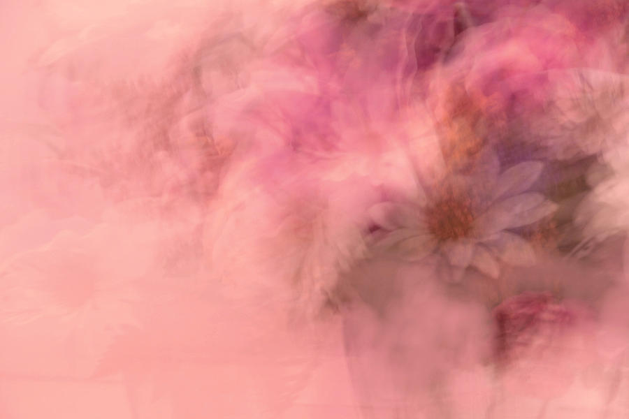 Floral Fantasy in Pink Photograph by Carolyn Jacob