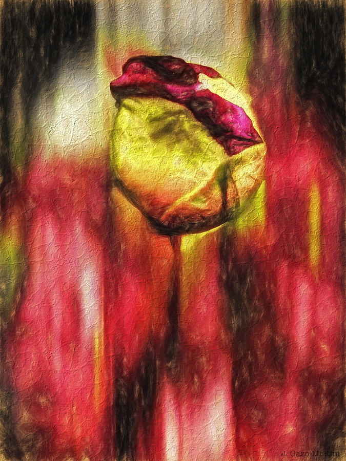 Floral Folds Digital Art by Jo-Anne Gazo-McKim