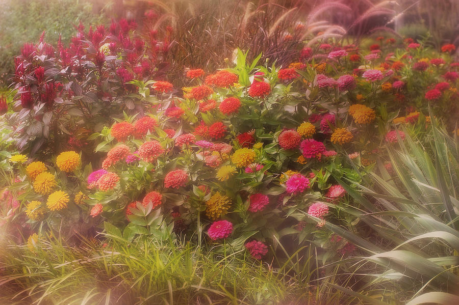 Floral Garden Photograph by Joan Bertucci