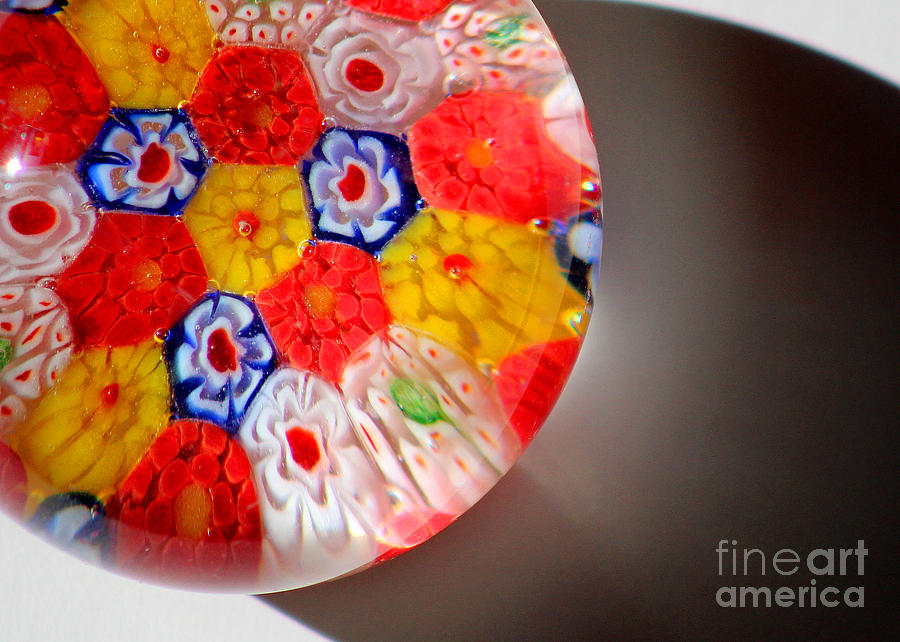 Floral Glass Abstract Close-up Photograph by Karen Adams