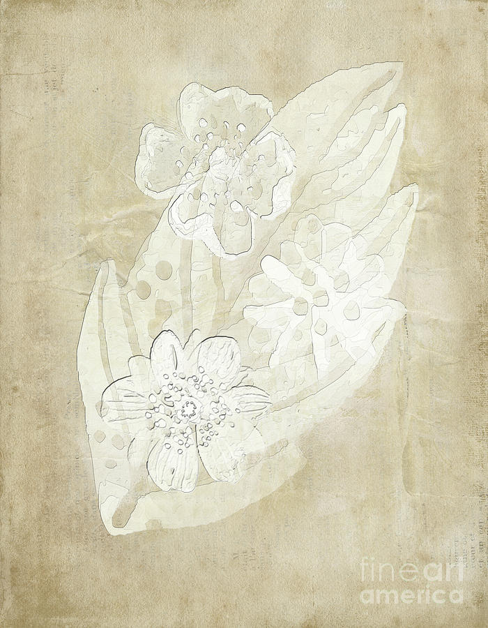 Floral Imprints Digital Art by Judy Hall-Folde