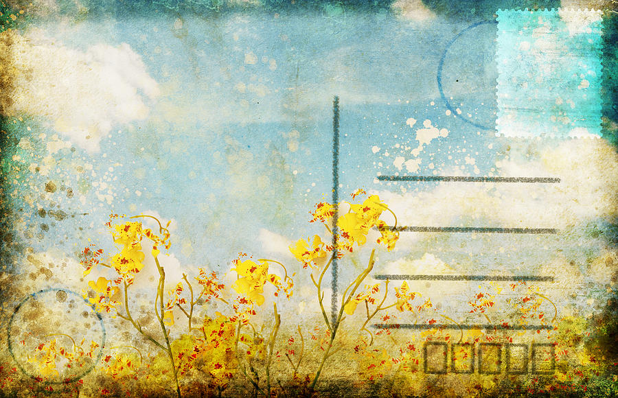 Floral In Blue Sky Postcard Photograph by Setsiri Silapasuwanchai