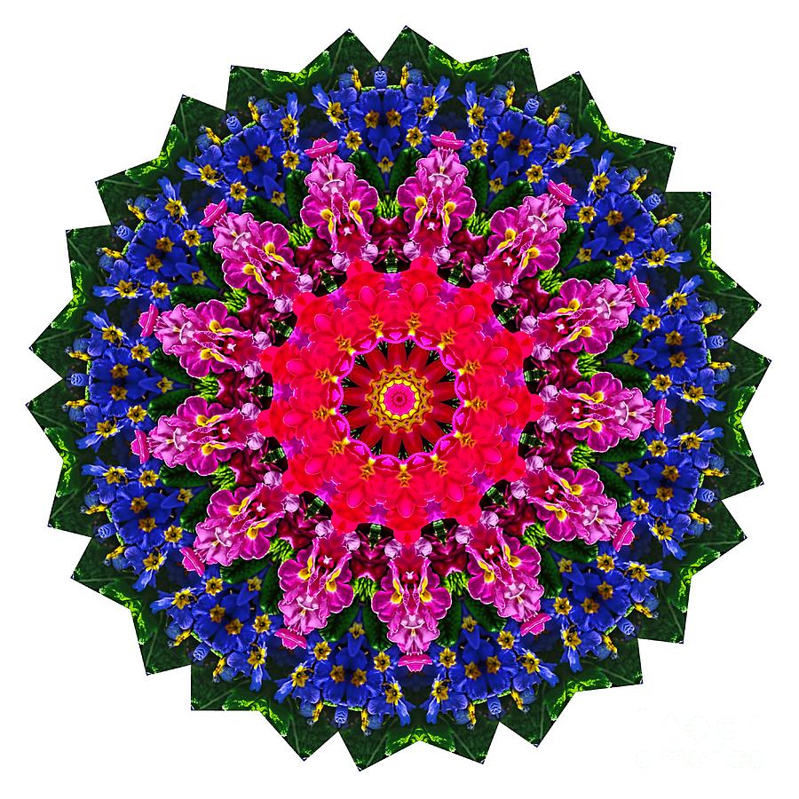Floral Kaleidoscope by Kaye Menner Photograph by Kaye Menner