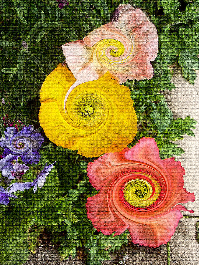 Floral Kaleidoscope Digital Art by Donna Blackhall
