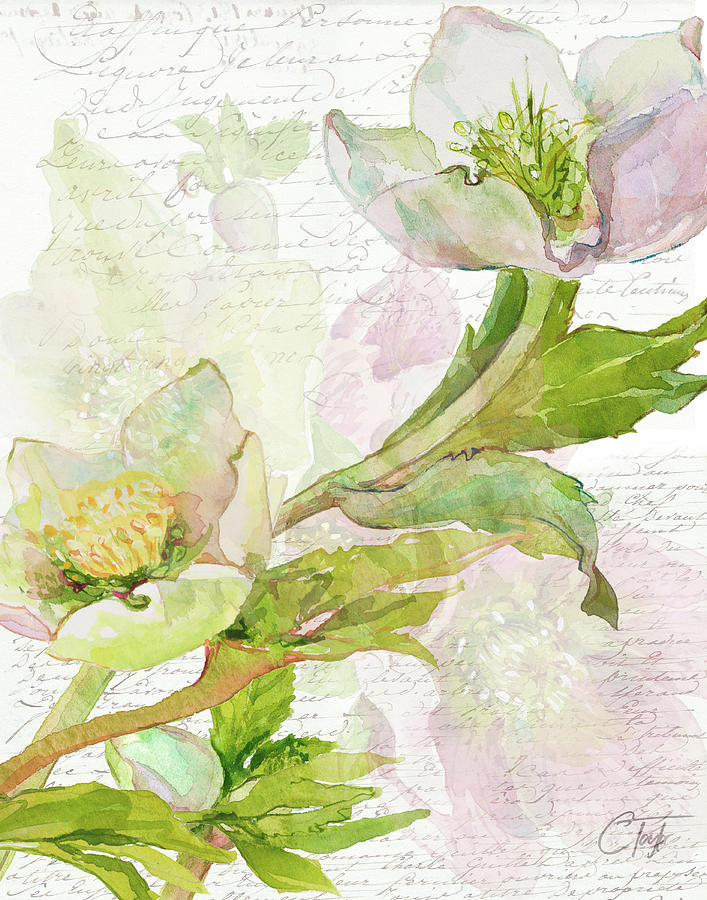 Rose Mixed Media - Floral Lettres dAmour by Colleen Taylor