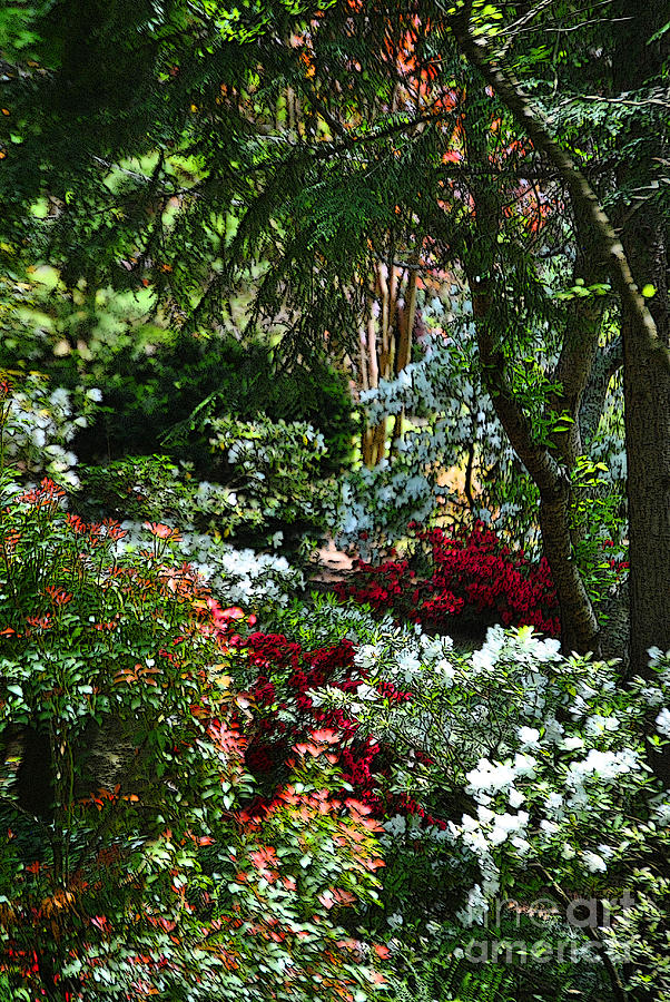 Floral Of The Forest Photograph By Jost Houk Fine Art America