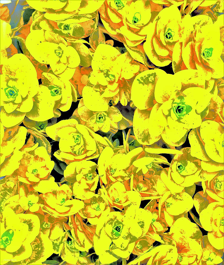Floral Organic Yellowtan Tapestry - Textile