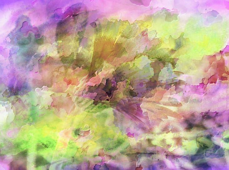 Floral Pastel Abstract Photograph by Mikki Cucuzzo