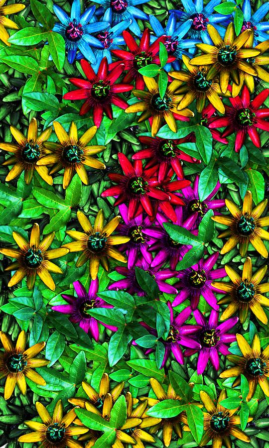 Floral print Digital Art by David Lane