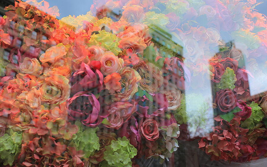 Floral Reflections - New York City Photograph by Dora Sofia Caputo