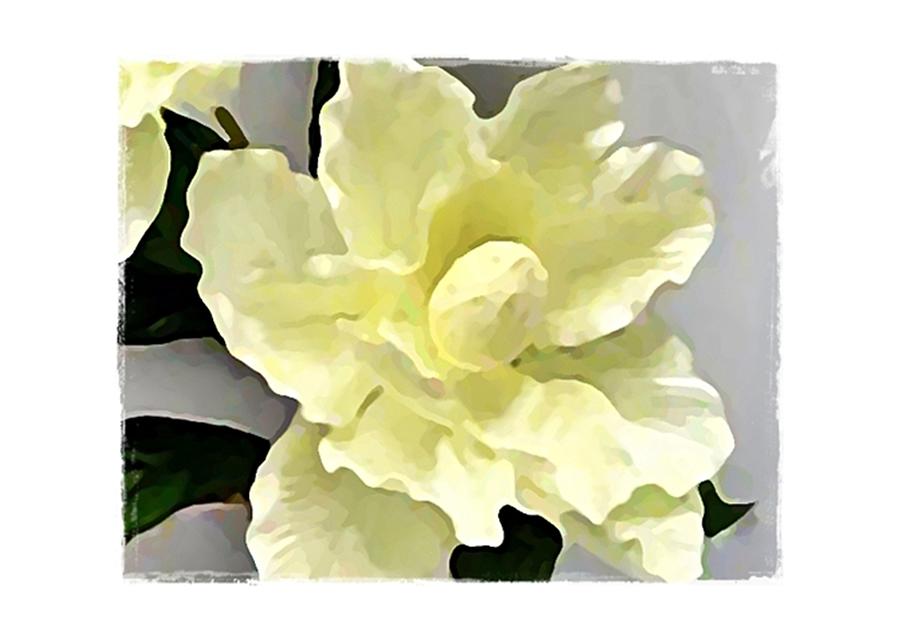 Magnolia Movie Digital Art - Floral Series I by Terry Mulligan