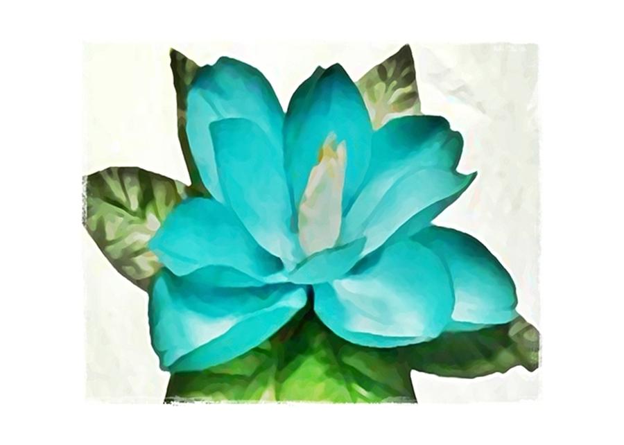 Magnolia Movie Digital Art - Floral Series II by Terry Mulligan