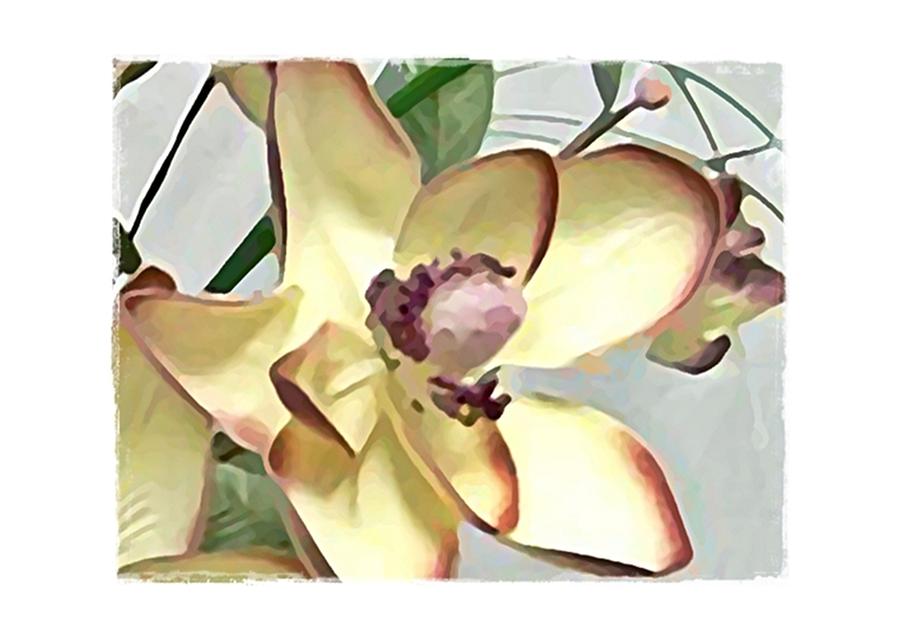 Floral Series III Digital Art by Terry Mulligan