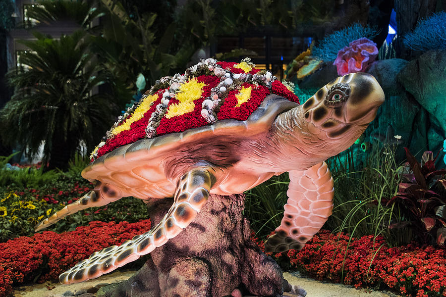 Las Vegas Photograph - Floral Shell Turtle - Bellagio Conservatory - Las Vegas Nevada by Jon Berghoff