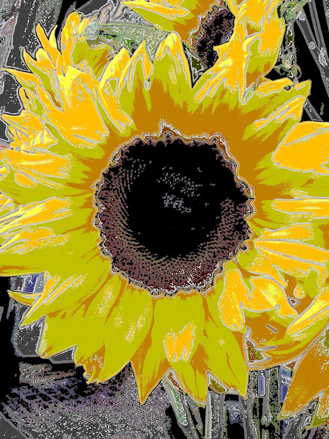 Floral Sunbeam Digital Art by Tim Allen