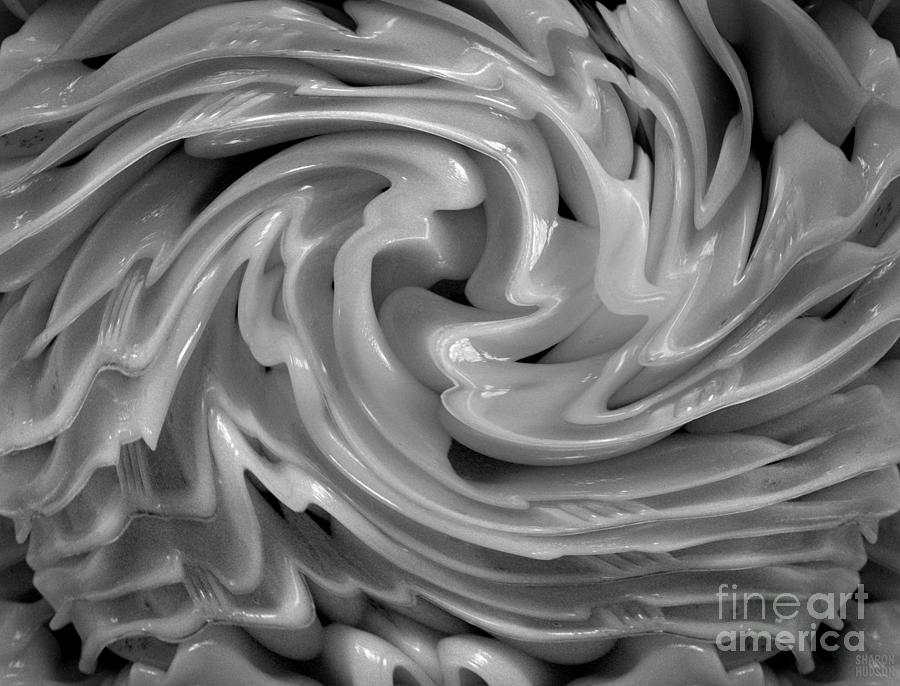 abstract photography - Plasticity XI Photograph by Sharon Hudson