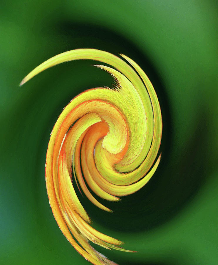 Floral Swirl 10 Photograph by Margaret Saheed