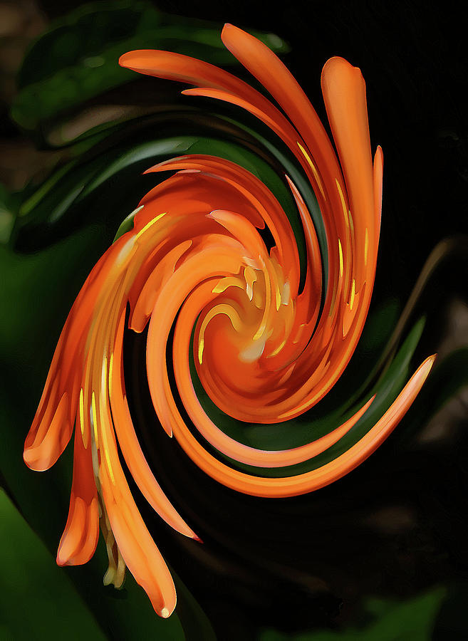 Floral Swirl 9 Photograph by Margaret Saheed