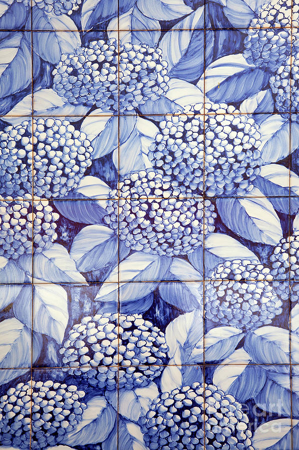 Flower Photograph - Floral tiles by Gaspar Avila