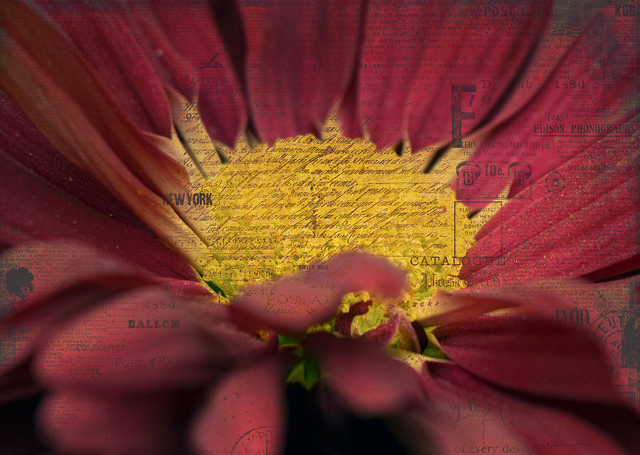 Floral typography Digital Art by Sumit Mehndiratta