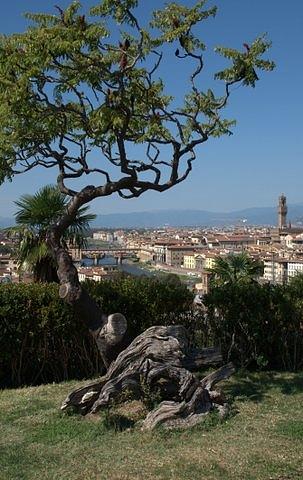 Florence from Fiesole Photograph by Caroline Stella