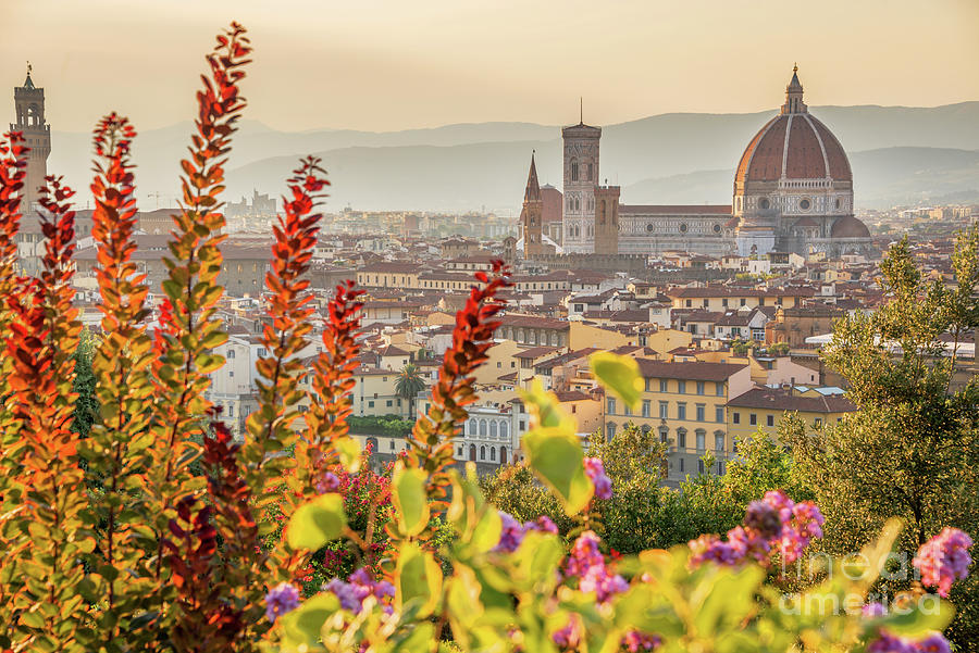 Sunset Photograph - Cityscape of Florence in summer, Tuscany by Delphimages Photo Creations
