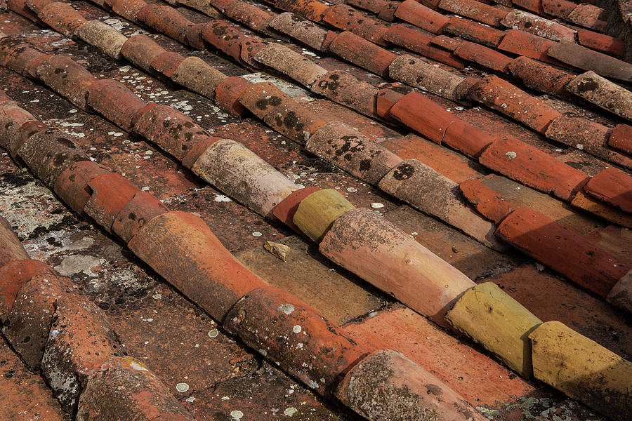 Artist Photograph - Florence Rooftop Tiles by Iris Richardson Artist Photograph - Florence Rooftop Tiles by Iris Richardson