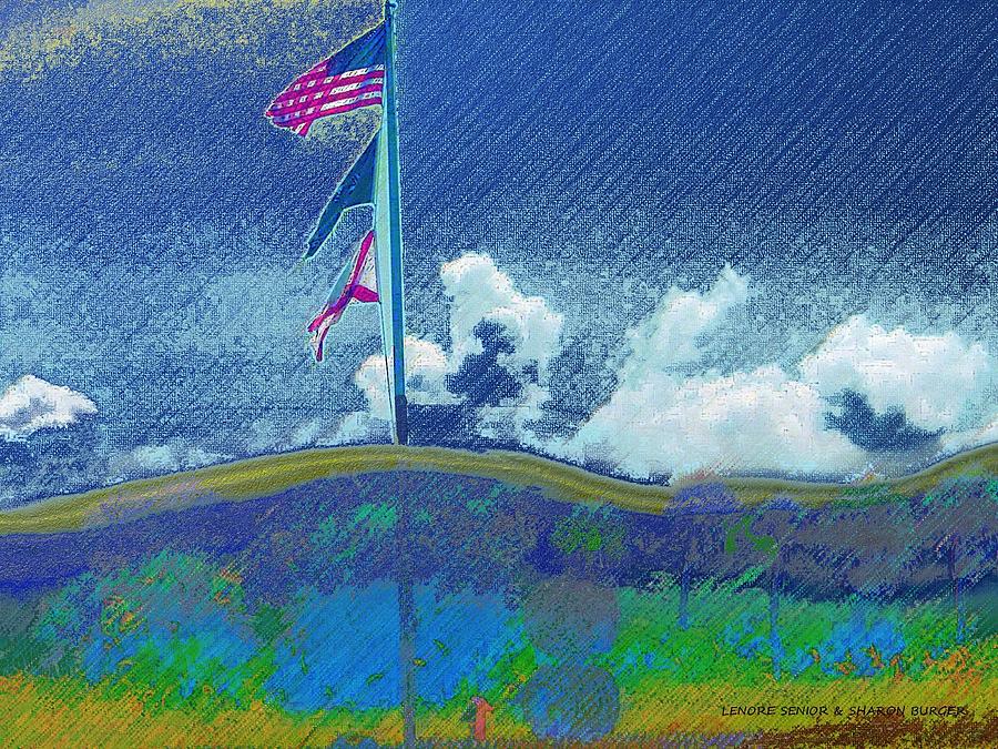 Nature Mixed Media - Florida 4th of July by Lenore Senior