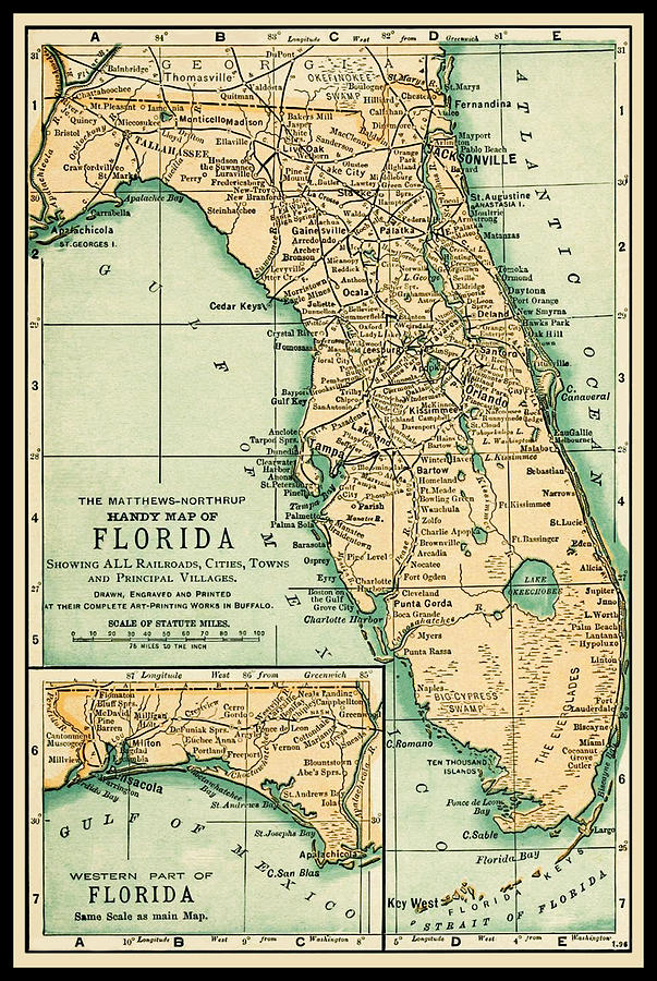Florida Antique Map 18914 Photograph by Phil Cardamone