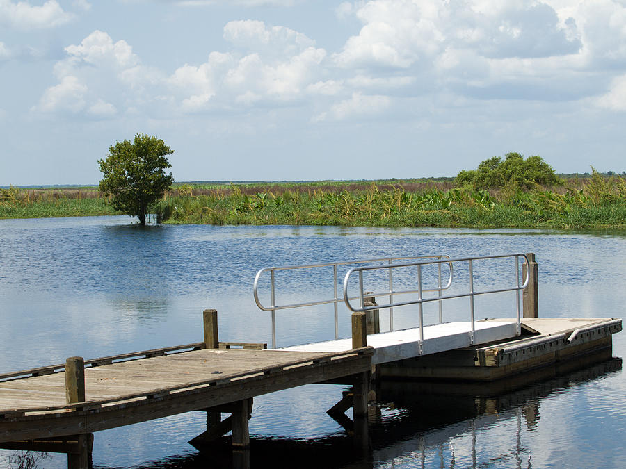 Florida Backwater Photograph by Allan  Hughes