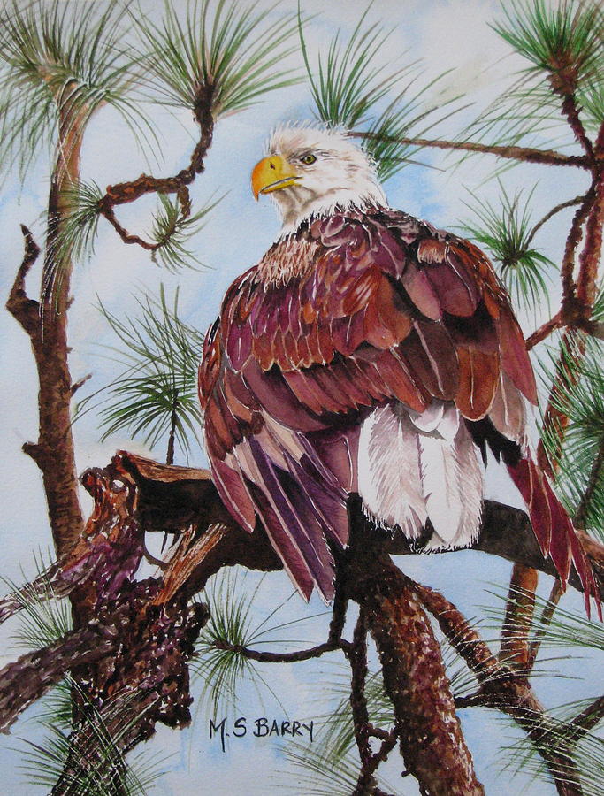 Florida Bald Eagle Painting by Maria Barry