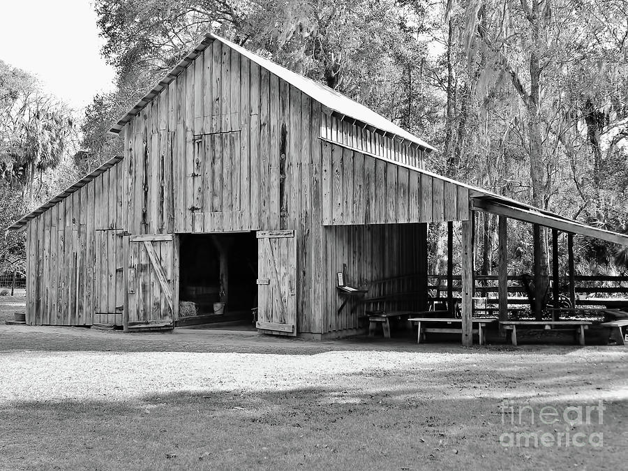 Florida Barn Black and White Photograph by D Hackett