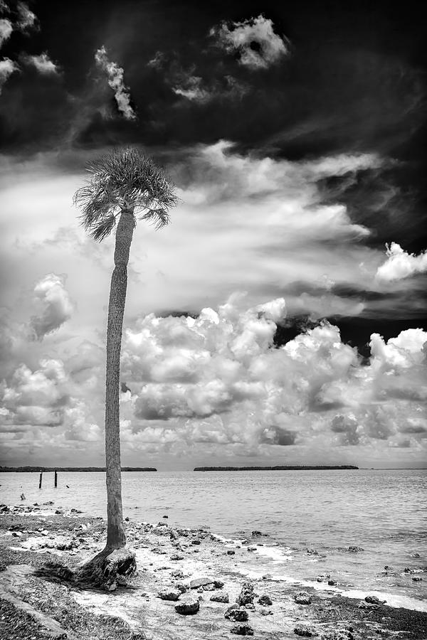 Florida Bay 6943BW Photograph by Rudy Umans