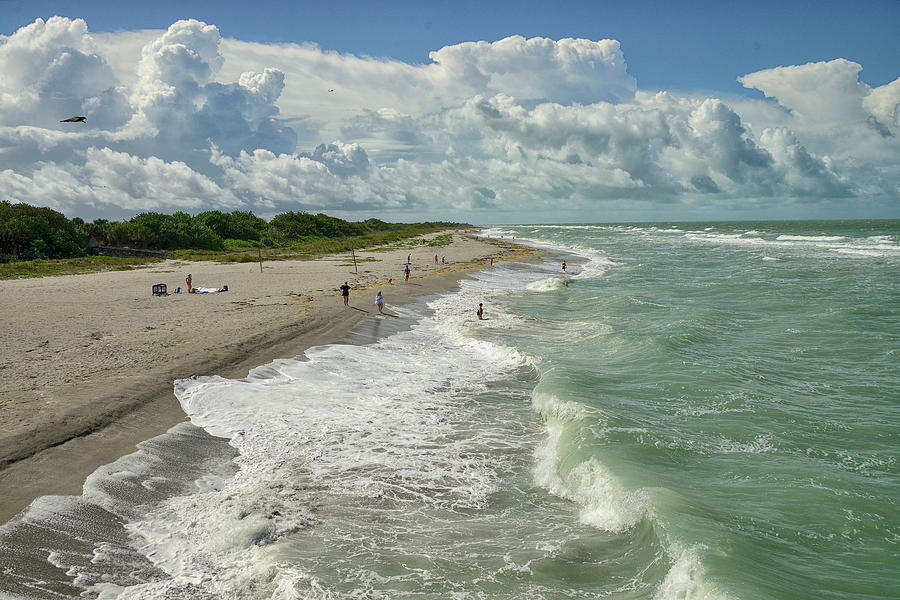 Florida beach in summer Photograph by Alison Belsan Horton