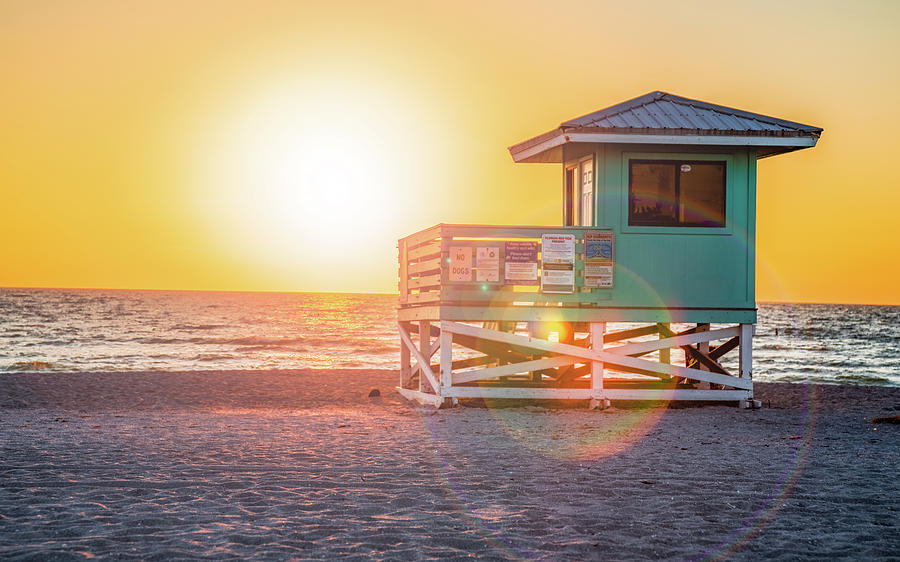 Florida Beach Life Photograph by Don Miller - Fine Art America