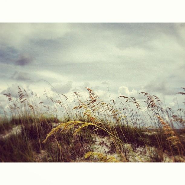 Beach Photograph - #florida #beach #sky by Joan McCool