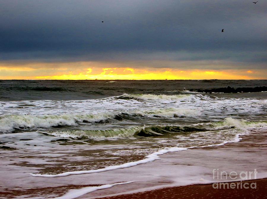Florida Beach Sunrise Photograph by Tim Townsend