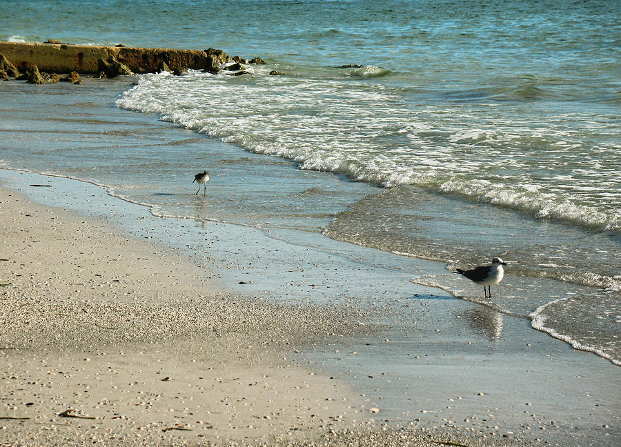 Florida Beaches Photograph by Dorothy Riley