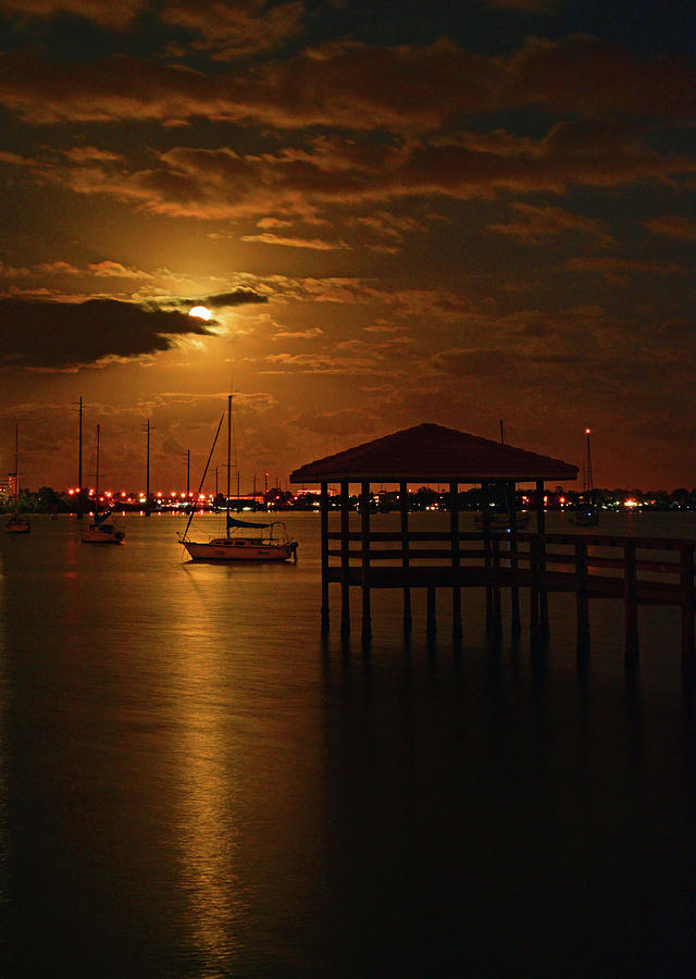 Florida Blue Moon Photograph by Ben Prepelka