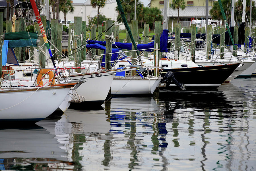 Florida Boats at Port St. Joe Photograph by Toni Hopper