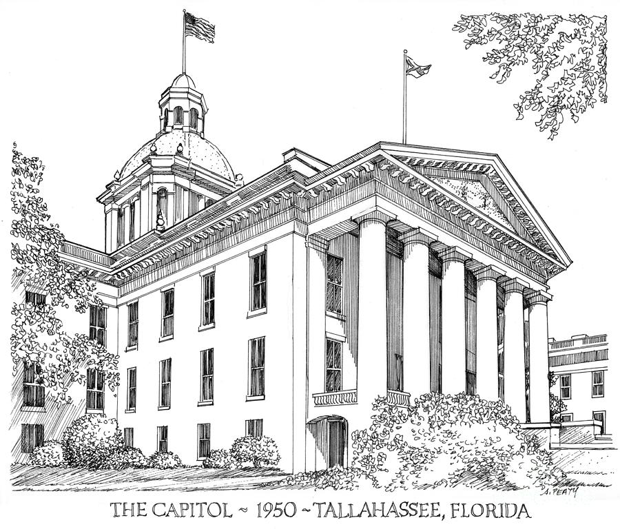 Florida Capitol 1950 Drawing by Audrey Peaty