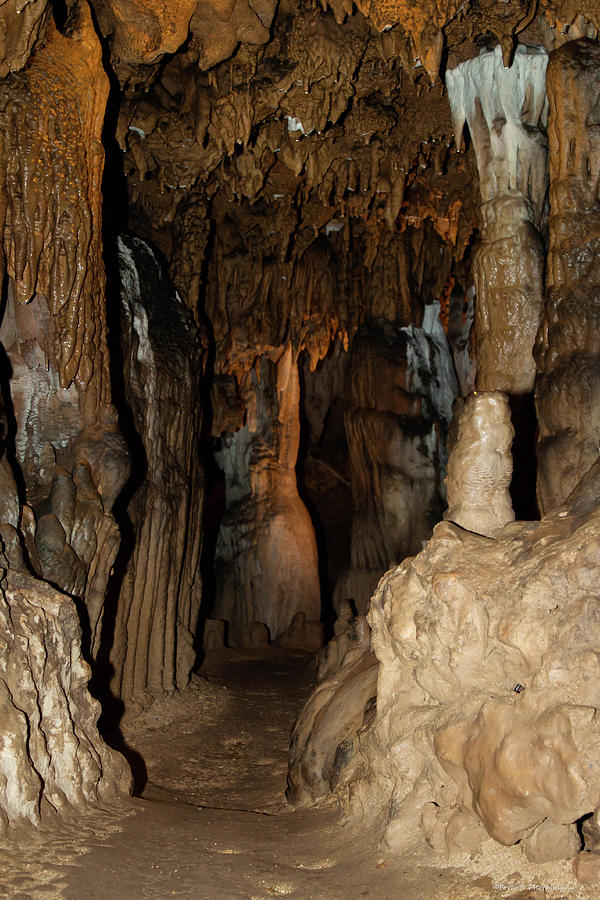 Florida Caverns Passage  Photograph by Debra Forand
