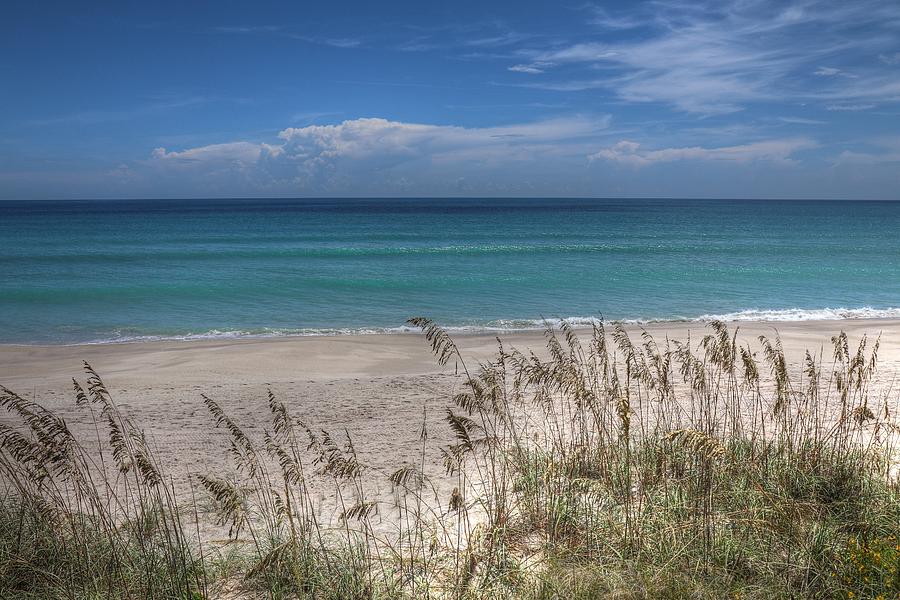 Florida Coastal Beaches And Sea Oats Photograph by Carol Montoya