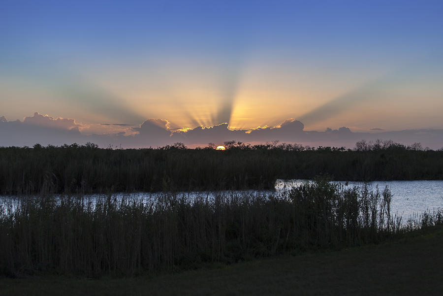 Florida Everglades Sunset Photograph by Ivan Cajaraville - Pixels