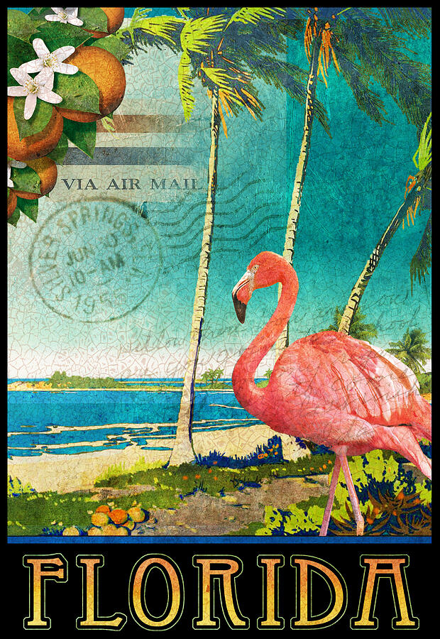 Flamingo Painting - Florida Flamingo Beach Poster by R christopher Vest