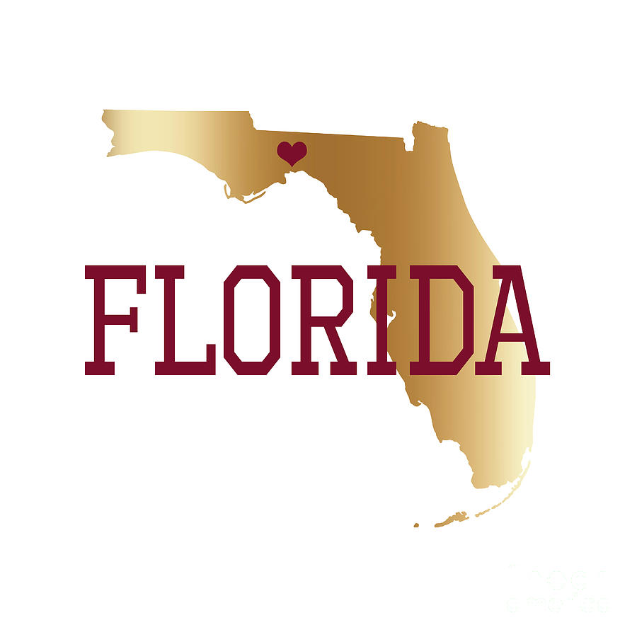 Florida Gold and Garnet with State Capital Typography Digital Art by Leah McPhail